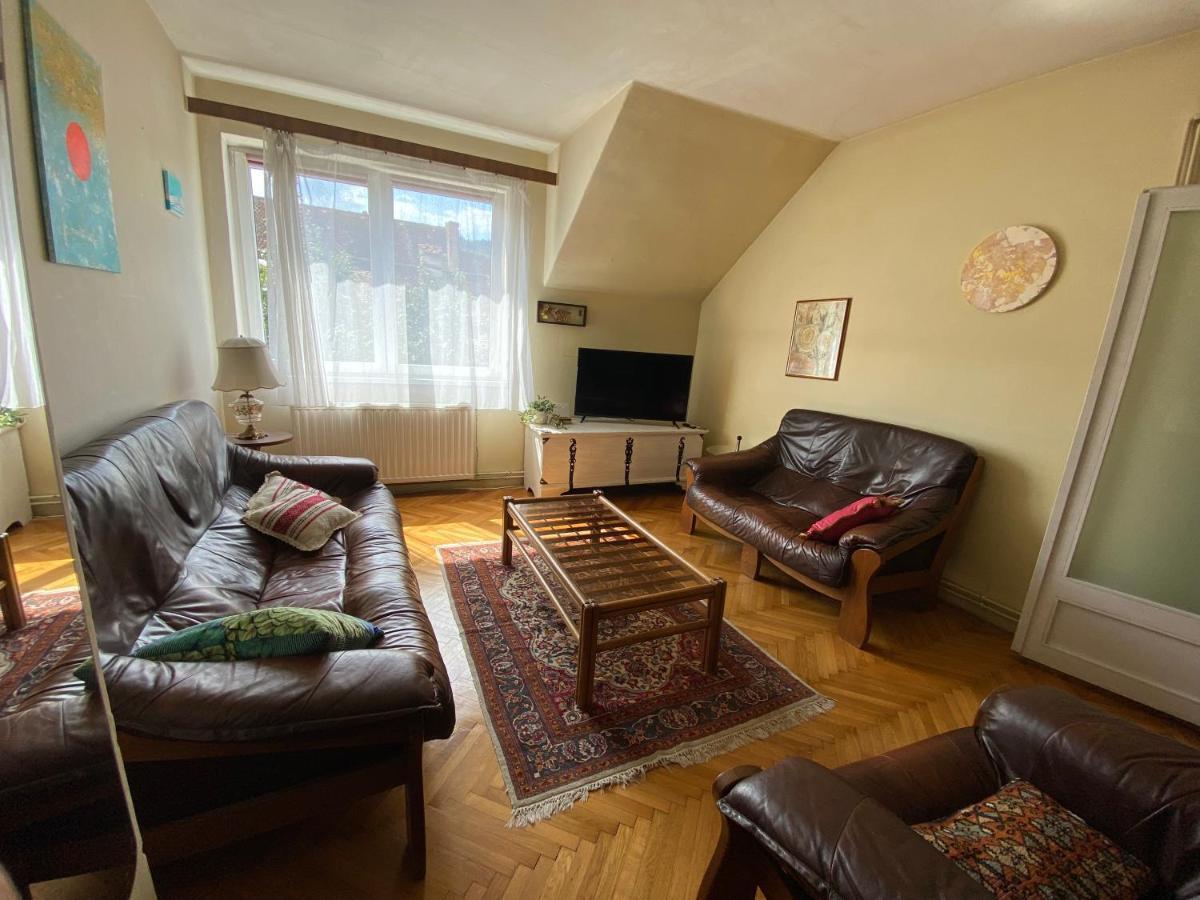 公寓 Rose's Oldtown Braşov