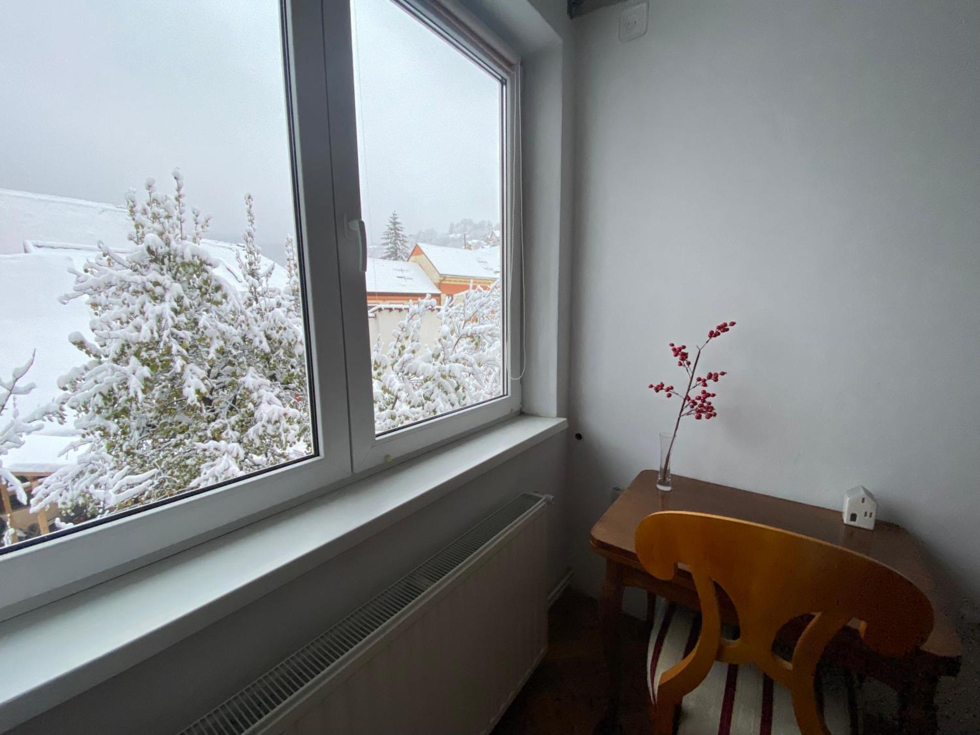 公寓 Rose's Oldtown Braşov