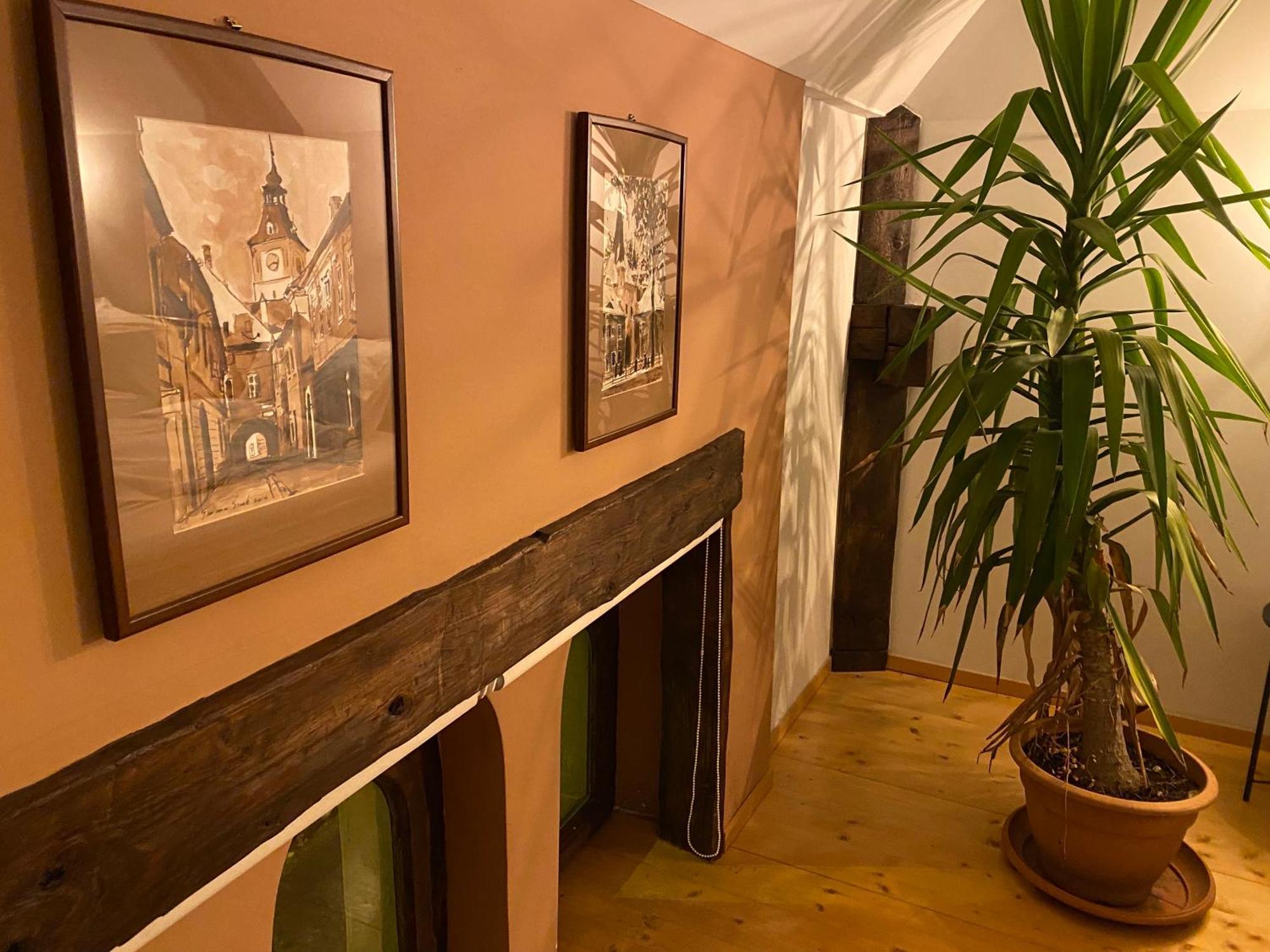 公寓 Rose's Oldtown Braşov