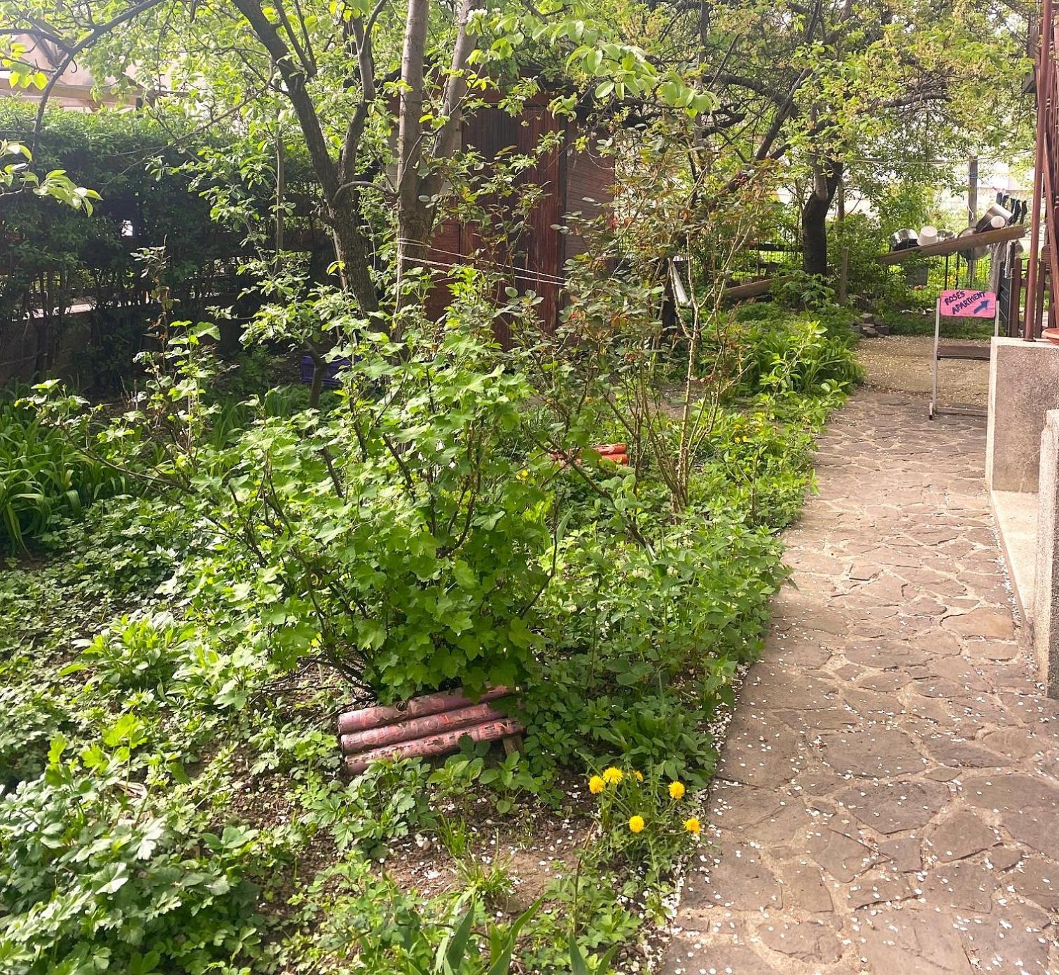 Apartamento Rose's Oldtown Braşov
