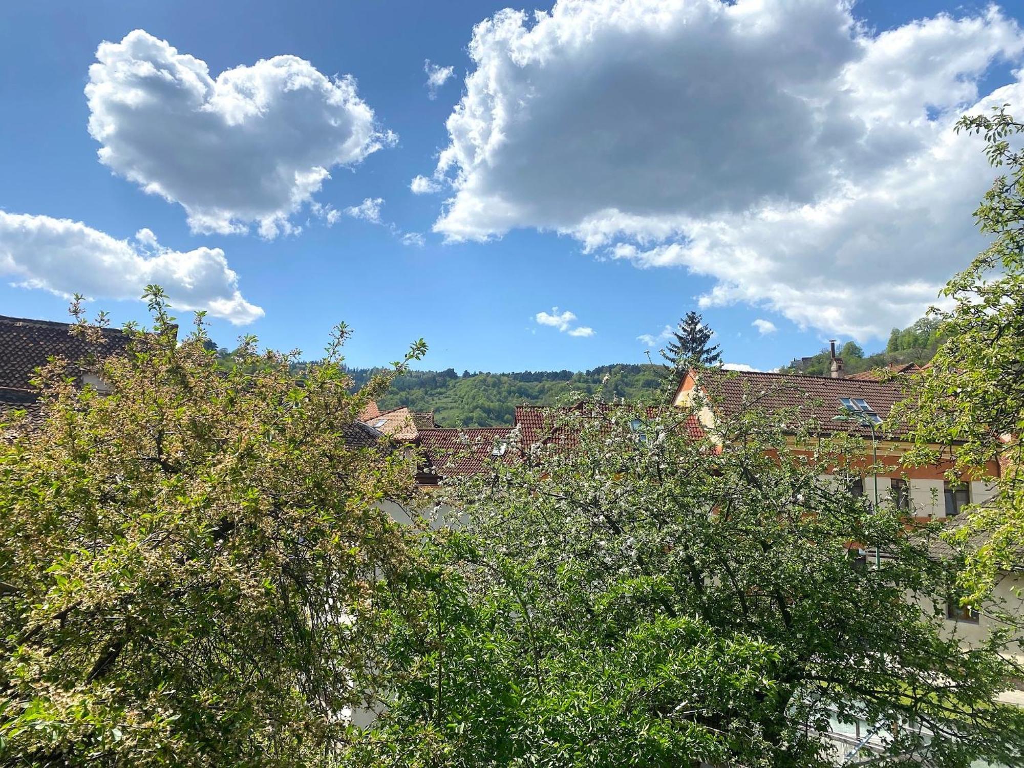 Rose's Oldtown Apartamento *