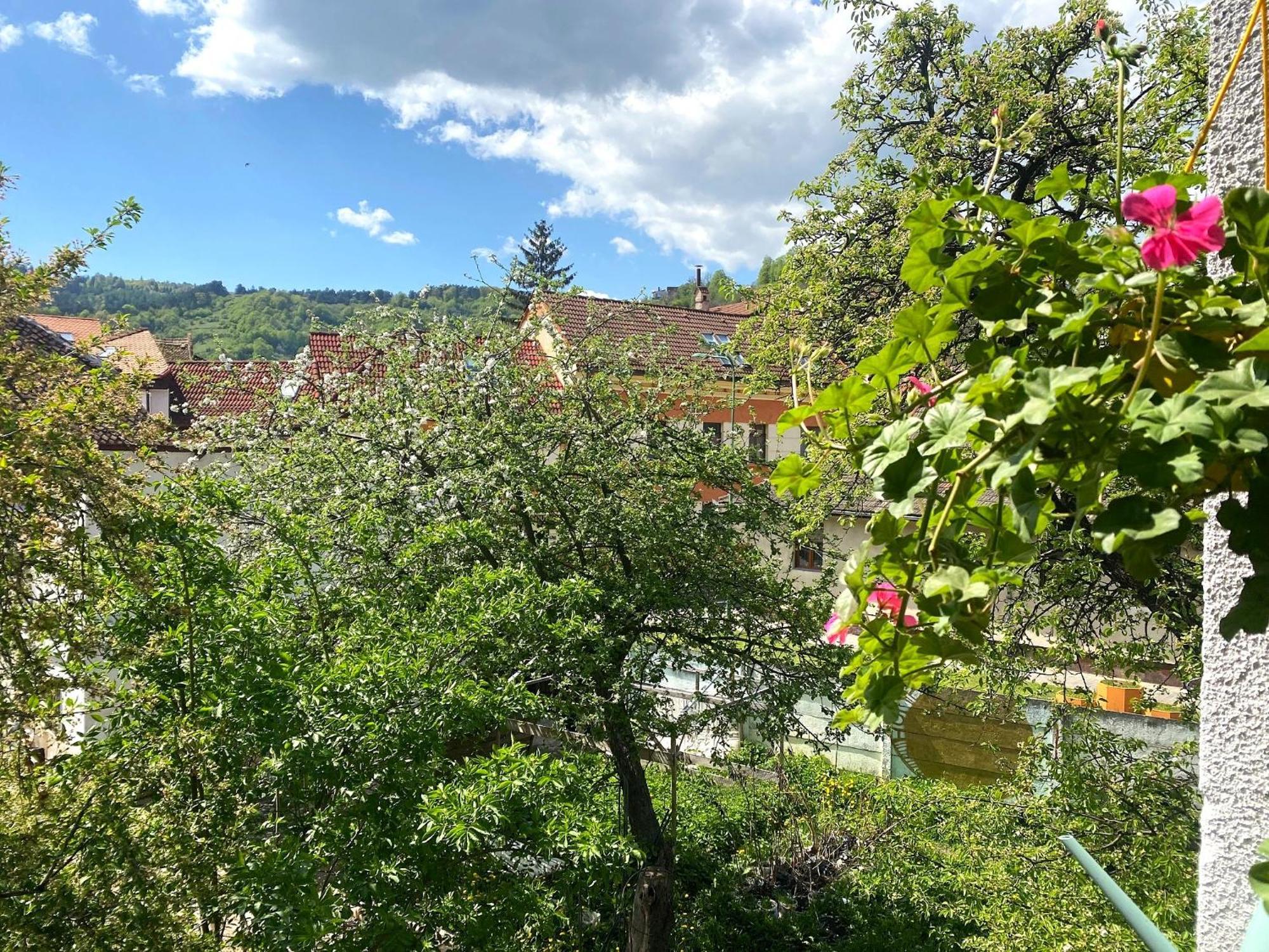 Apartamento Rose's Oldtown